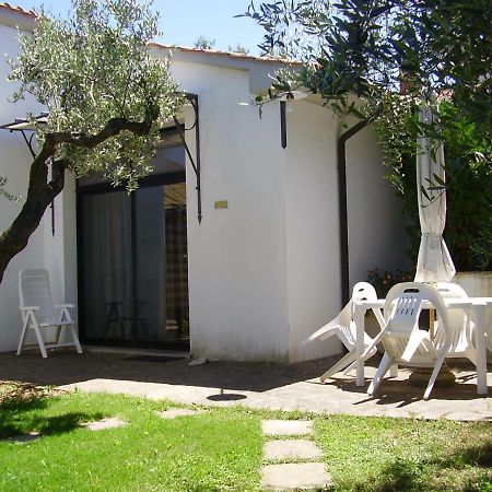 Podere Belvedere Cecina Cecina  Bagian luar foto