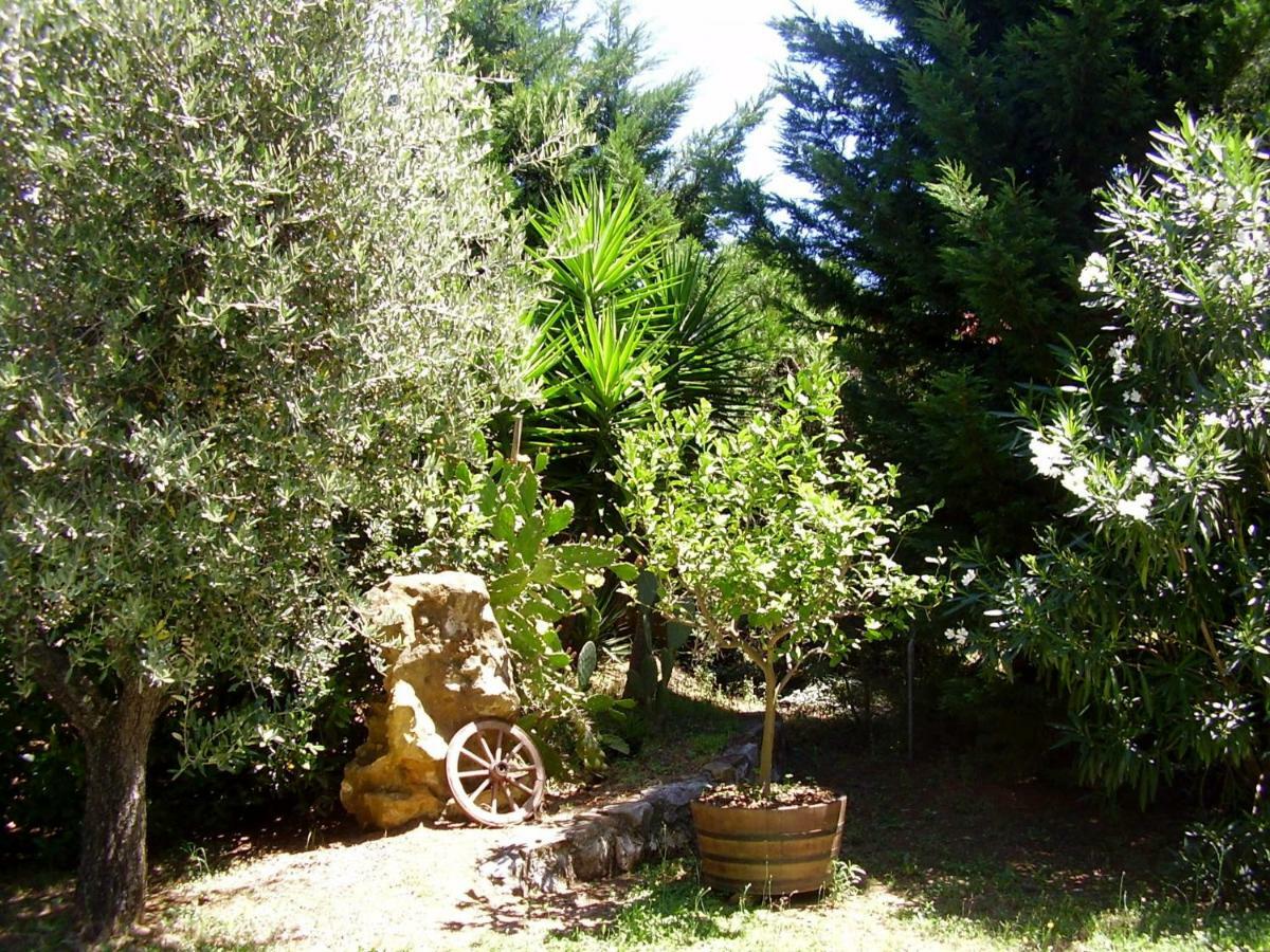 Podere Belvedere Cecina Cecina  Bagian luar foto