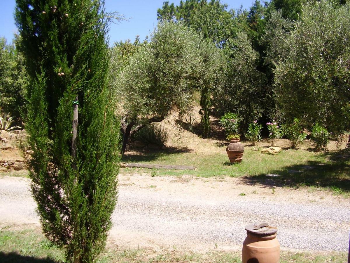 Podere Belvedere Cecina Cecina  Bagian luar foto