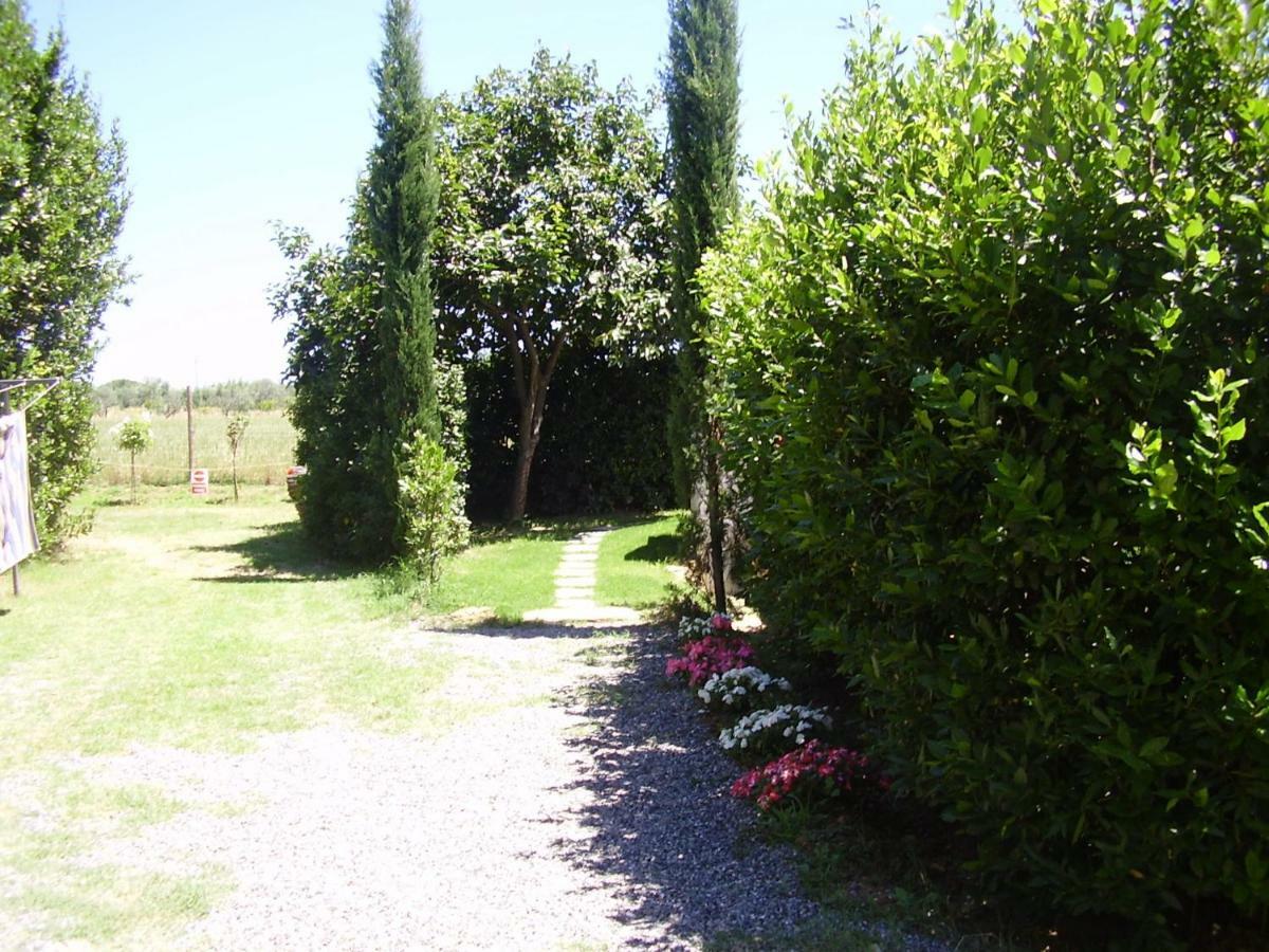 Podere Belvedere Cecina Cecina  Bagian luar foto